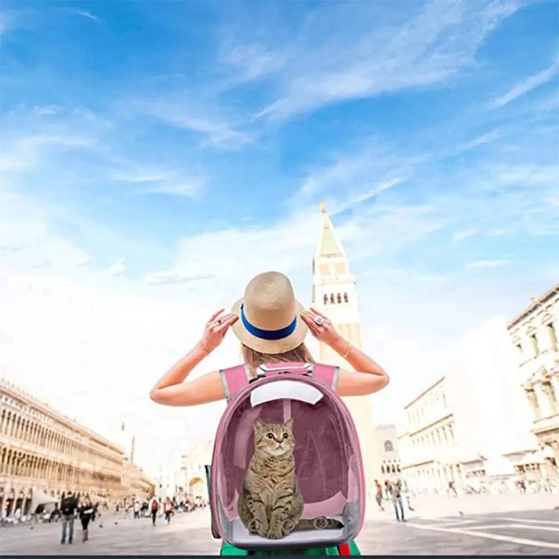 Mochila transparente para passeio Pet - Visão Panorâmica